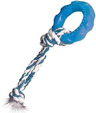 Furacão Pet Pneu Slick Borracha Com Corda Para Cães