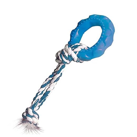 Furacão Pet Pneu Slick Borracha Com Corda Para Cães