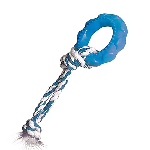 Furacão Pet Pneu Slick Borracha Com Corda Para Cães