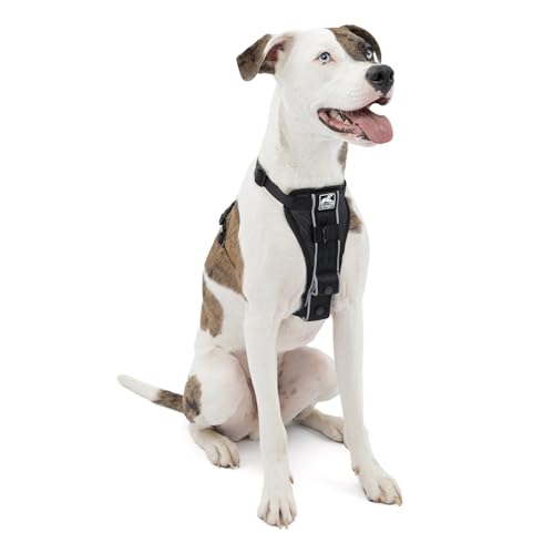Kurgo Tru-Fit Smart Dog Walking Harness - Comfortable Fit - Adjustable Harness - Reflective Pet Wear...
