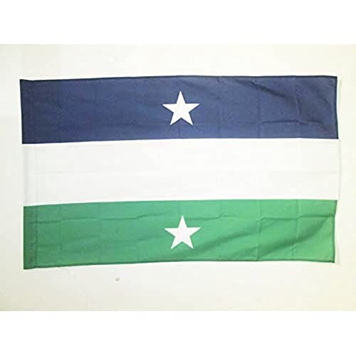 AZ FLAG, Kingdom of Araucanía and Patagonia with stars Flag, 2x3 Ft, New France Banner with Sleeve, 100% Polyester