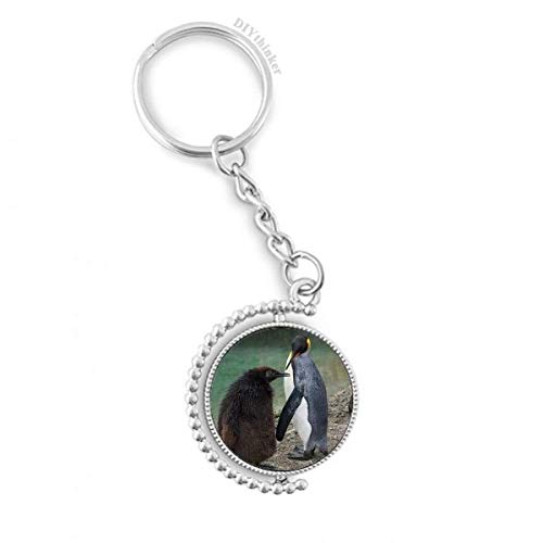 Porte-clés pingouin antarctique image rotative médaillon 3 cm x 9 cm
