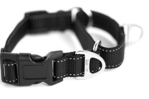 Mighty Paw Martingale Nylon Training Collar. Our Trainer Approved Limited Slip Collar. Modified Cinch Collar For Controlled Force For Optimal Training. Reflective Stitching To Keep Your Dog Safe! #TOP6