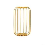 Design: caratterizzato da una composizione floreale trasparente, il vaso in vetro in ferro battuto è un pezzo decorativo che migliora l'arredamento della tua casa.