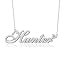 Als Silver-Hunter