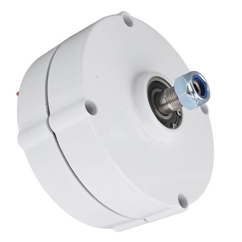 Générateur CA triphasé 48V 200W à double arbre pour éolienne - 4