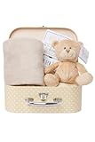 Baby Box Shop Newborn Baby Gift Set – Baby Hamper with Teddy Bear, 16 x Milestone Cards & Soft Fleece Blanket – Ready to Gift for Gender Reveals, New Arrivals & Baby Shower Gifts