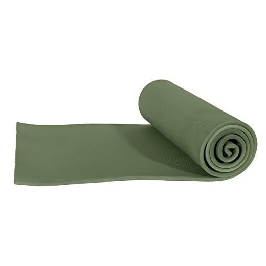 ALPS Mountaineering Foam Camping Mat (Regular 375), Green
