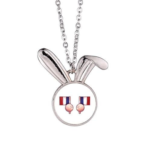 Collier drapeau de la France lapin idéal pour vos tenues de fête nationale
