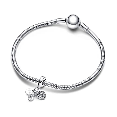 Image of INZEN Heart-shaped Friendship Charm Pendant Suitable For Most Charm Bracelets And Necklaces DIY Puppy Tigger Beads Jewelry Gifts For Women And Girls (Family Infinity Charm)