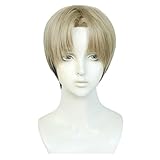 LAOBAO 岸辺 きしべ コスプレ ウィッグ 亜麻色 黒 メッシュ かつら カツラ 耐熱 変装用ウィッグ コスチューム小物 パーティー 仮装 クリスマス ハロウィン 文化祭 お祭り 学園祭 イベント cosplay wig (岸辺)