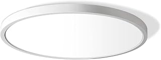 LightingWill 12 Inch LED Flush Mount Ceiling Light, 5000K Daylight White 3200LM 24W, Ultra-Thin Modern Round Fixture for Kitchen Bedroom Stairwell