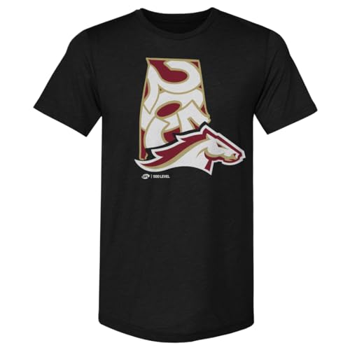 500 LEVEL Birmingham Stallions Area Code Silhouette Men's Premium T-Shirt (Tri Black, Large)