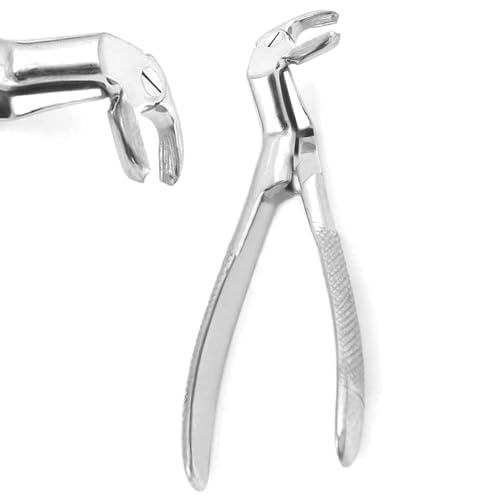 PC EXTRACTING Forceps #22-1/2R English Pattern Dental Instruments