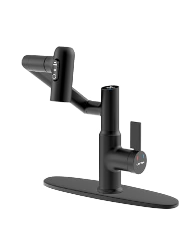 Lefton Rotatable Bathroom Faucet BF2204 with 10\" Cover Plate FCP2201, Matte Black