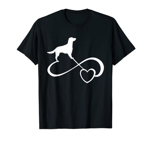 Welsh Springer Spaniel T-Shirt