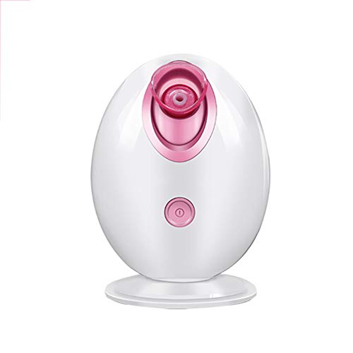 Nettoyage Des Pores efficace avec l'atomiseur sprayer pour peaux ternes
