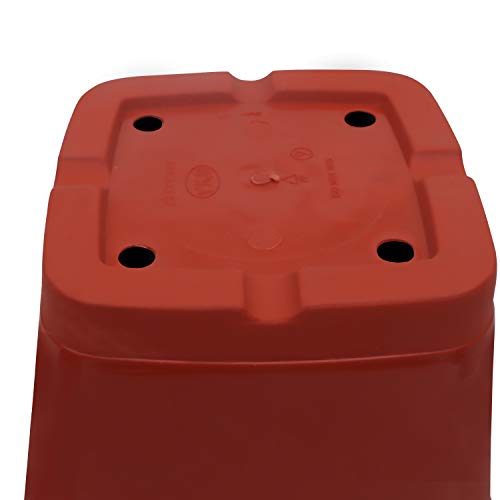 Livzing Square Plastic Flower Pot with Bottom Tray Set - 9 Inch, Pack of 10 (Brown), Garden Planters with Drain Holes for Home Plants,Plastic Pots for Indoor and Outdoor Gardening with Drip Tray