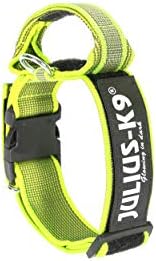 Julius-K9 Colour and Gray Collar with Handle, Safety Lock and Interchangeable Patch, 40 mm (38-53 cm), Black-Gray