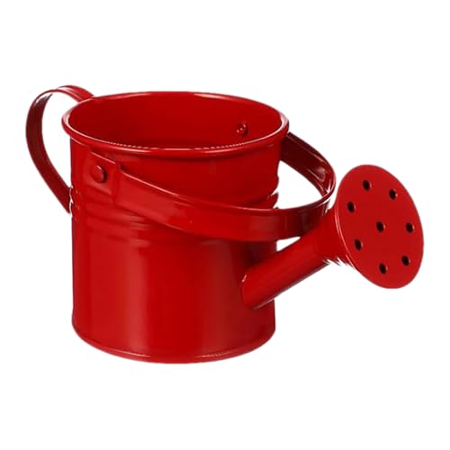 Wiring Can Outdoor - Can de Agua para Plantas de casa y jardín | Bañeras, macetas y cestas Colgantes de latas de riego Ligero, contenedor de Flores con asa para el jardín del gi