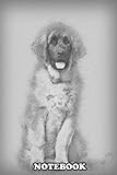  Notebook: Leonberger Puppy 4 Months Old Sitting Against White Bac , Journal for Writing, College Ruled Size 6\" x 9\", 110 Pages