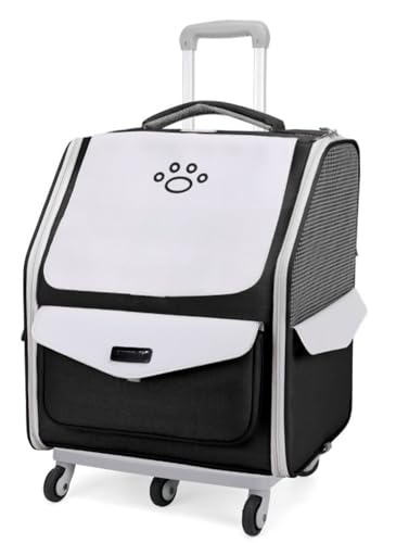 ConutooLX^[t܂肽ݎybgL[obO ybgL[ ybgJ[g ʋCbV e s/ʉ@/hБΉ (ubN,g[^)