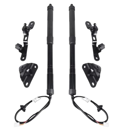 Vérin hayon électrique Toyota RAV4 bloqué solution tige support