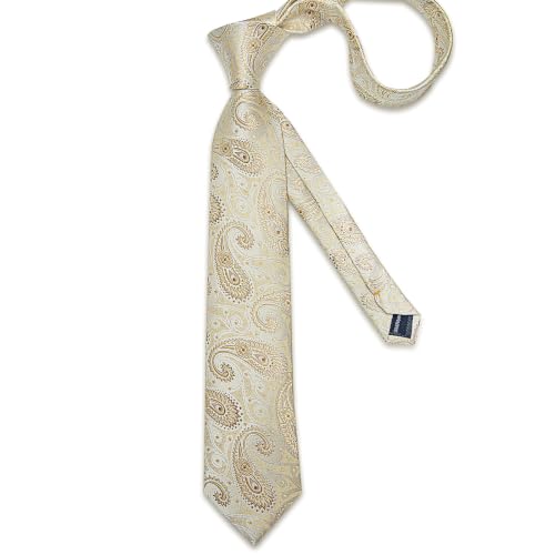 Image of DiBanGu Silk Floral Ties for Men Woven Paisley Necktie and Tie Clip Handkerchief Cufflinks Set for Party Wedding