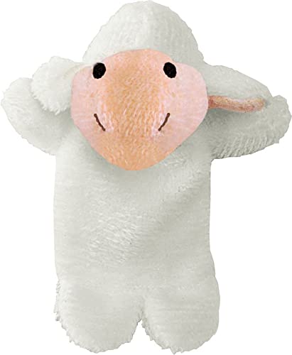 Coppenrath Verlag GmbH & Co. KG Zu deiner Taufe, Spieledose: 30 Gebete und Spielverse - mit Fingerpuppe, Karton