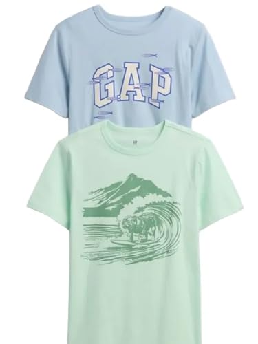 Image of GAP Boys' Short Sleeve Graphic Tee 2-Pack