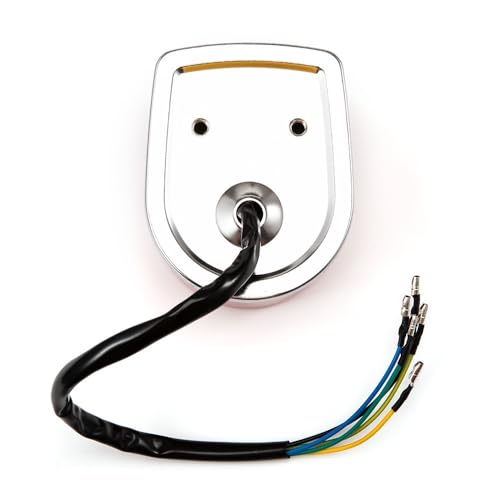 Freno y luz trasera de 12V con intermitente para Monkey 7