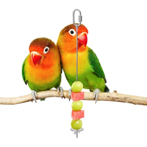 Pincho de golosinas para jaula de pájaros, portafrutas de acero inoxidable | Portacomida para periquitos, para jaulas, guacañas, catúas, conure, calopsita, periquito,