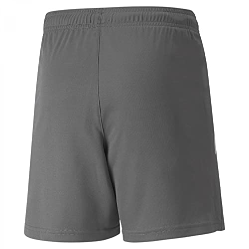 Image of Puma Boys Kids' Teamliga Shorts