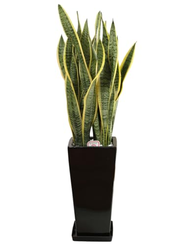 _ ϗtA TXxA TZxA { 7 픫 p  Y_ t CeA A JXj zj Mtg ̓ ̓ hV̓ v[g 蕨  Ε  Əj w wj ItBX