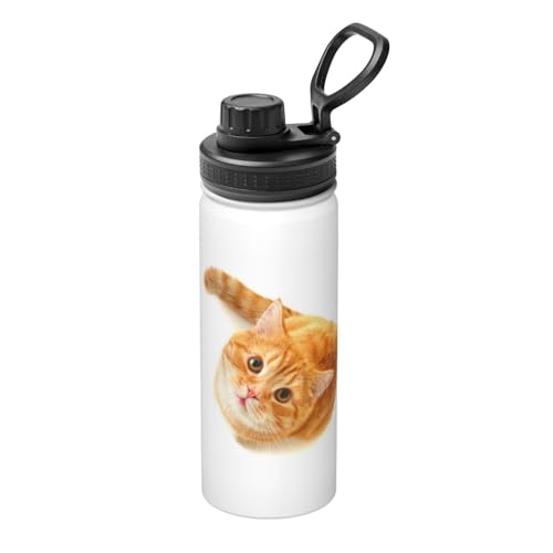  L XeX{g @r 500ml  ۗۉ ^fM X|[c{g e nht ^ Rh~  oR AEghA ʋ ʊw