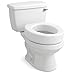 Carex Toilet Seat Riser, Round Raised Toilet Seat Adds 3.5 inches to Toilet Height, for Assistance Bending or Sitting, 300 Pound Weight Capacity