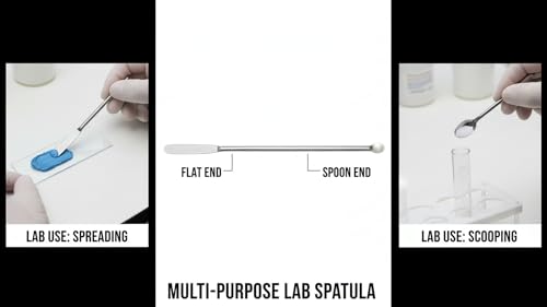 Image of Laboratory Spatula(PACK OF 2), Stainless Steel, 8 inch or 20 cm Length, Dual-Ended with Round Spoon and Flat Face Design for laboratory and multipurpose use