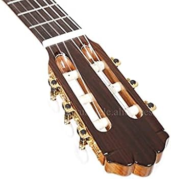 Amazon | Guitar Professional 39インチギターシダー/マホガニー