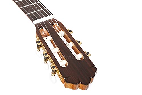 Amazon | Guitar Professional 39インチギターシダー/マホガニー