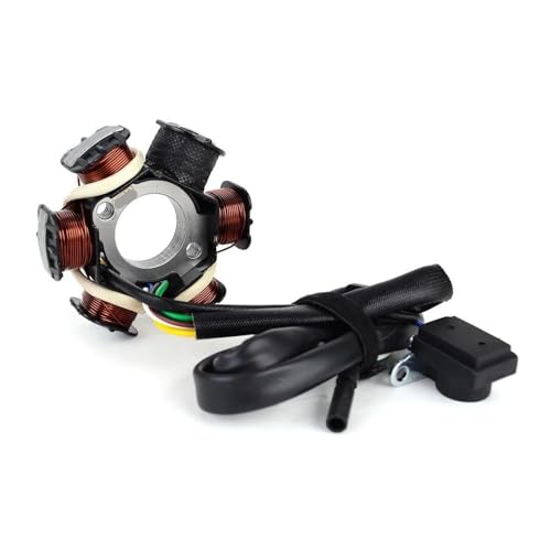 Bobine de stator V31100CJF010 alternateur moto DS90 2x4 DS70