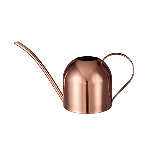 IMEEA Indoor Watering Can for House Plants 33oz/1L Stainless Steel Watering Can with Long Spout (Rose Gold)