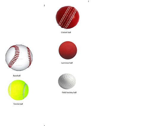 Babo V, 36" Long, Base Ball Boy Picker Upper Collector Retriever Tube Unique Gift … #TOP2