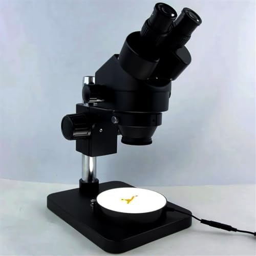 Lames de microscope et source de lumière avec anneau LED réglable pour binoculaire stéréo