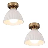 Versátil: Mini luz de techo retro es perfecto para la iluminación moderna de la granja y del hogar, sala de estar, dormitorio, sala de estudio, comedor, pasillo y cualquier otra iluminación interior.