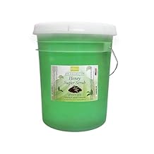 Green Tea Honey Sugar Body Scrub Gentle Exfoliating Sugar Scrub with Hydrating Honey for Smooth, Revitalized Skin by BeBeauty 5 Gallons