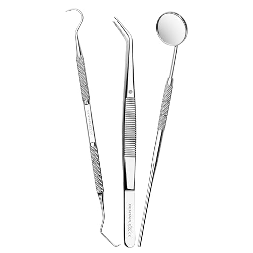 Dentaplex 3 Pcs Oral Dental Care Kit for Teeth Cleaning Tooth Filling Repair Plaque Remover for Teeth Cleaning Dental Tools for Personal & Pets Care