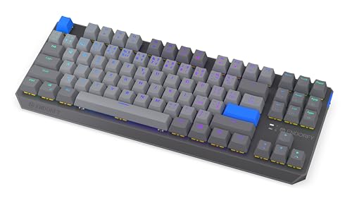 ENDORFY Thock V2 TKL Wireless CZ BT 2.4 GHz Yellow switches by Gateron, Hot-Swap, Software, Parte Superior de Aluminio, macros programables