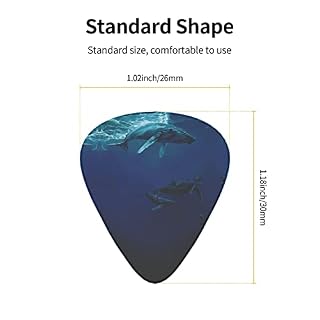 Pack de 12 médiators pour guitare Ocean Whale pour guitare électrique Guitare acoustique Diverses guitares - Les Beatles, Paul McCartney, John Lennon, RIngo Starr, George Harrison Pack de 12 médiators pour guitare Ocean Whale pour guitare électrique Guitare acoustique Diverses guitares – Image 3