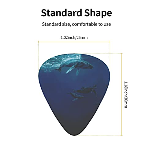 Pack de 12 médiators pour guitare Ocean Whale pour guitare électrique Guitare acoustique Diverses guitares - Les Beatles, Paul McCartney, John Lennon, RIngo Starr, George Harrison Pack de 12 médiators pour guitare Ocean Whale pour guitare électrique Guitare acoustique Diverses guitares – Image 4