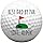 Best Dad by Par Golf Ball, Fathers Day Golf Gift, Golf Balls for Dad, Golf Gifts for Dad
